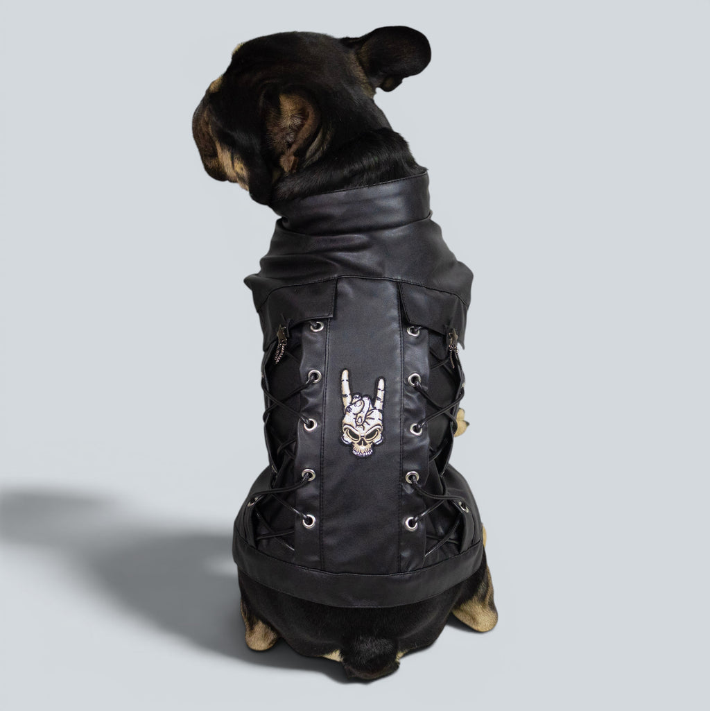 ROCKDOG CAMDEN