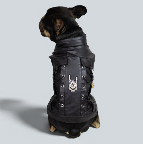 ROCKDOG CAMDEN