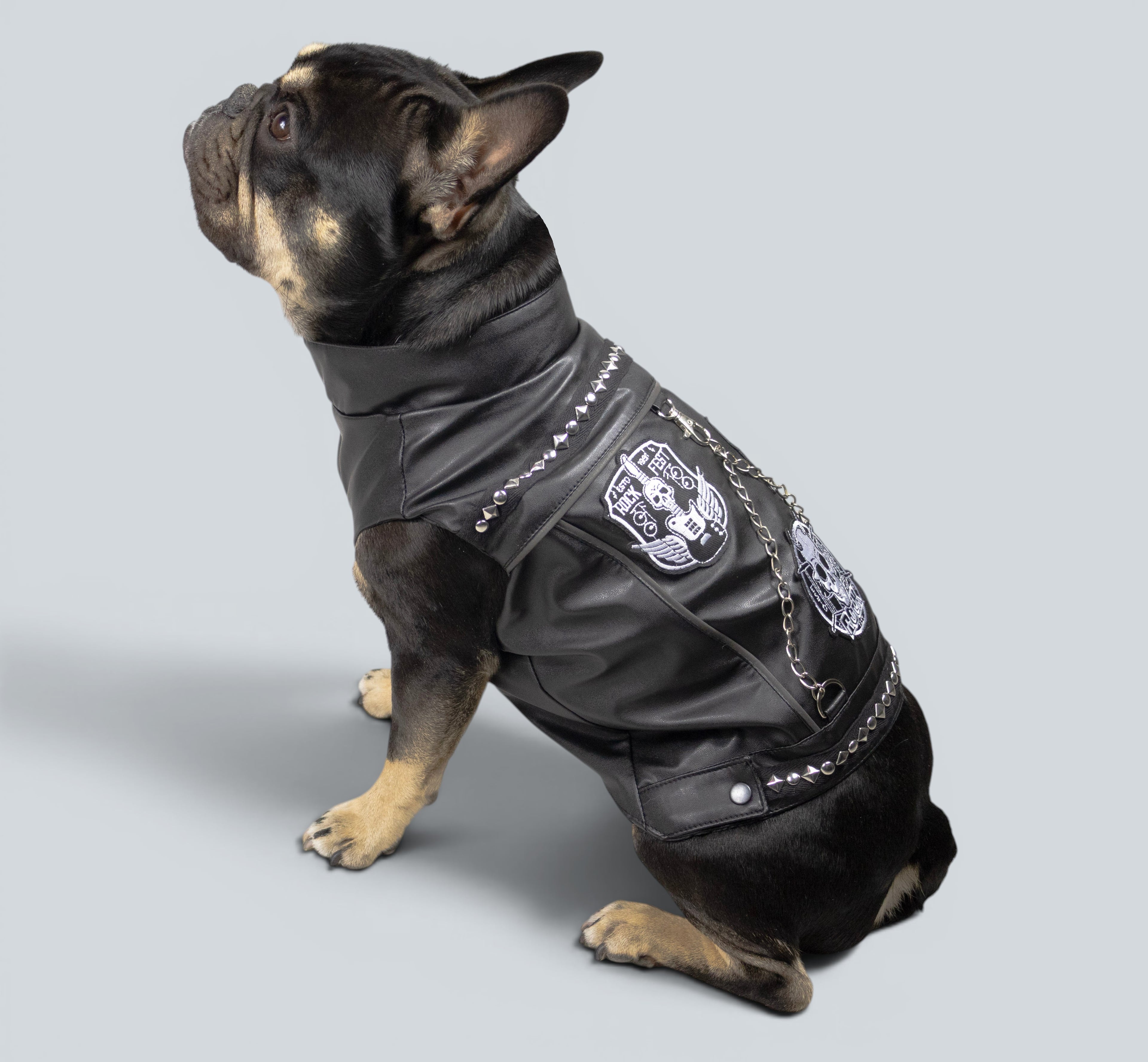 ROCKDOG BRIXTON