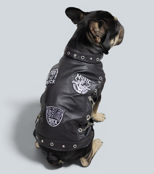 ROCKDOG BRONX