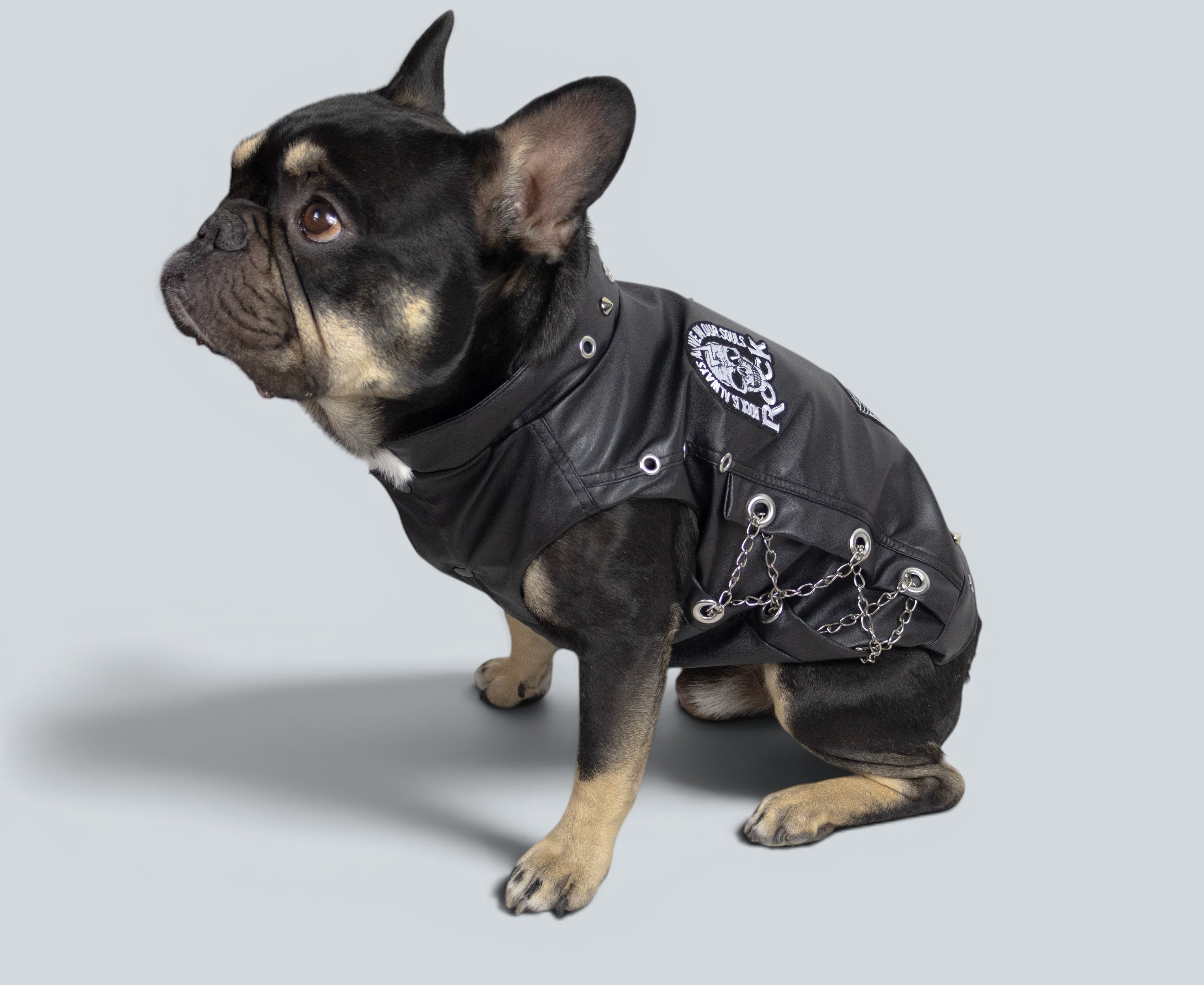 ROCKDOG BRONX
