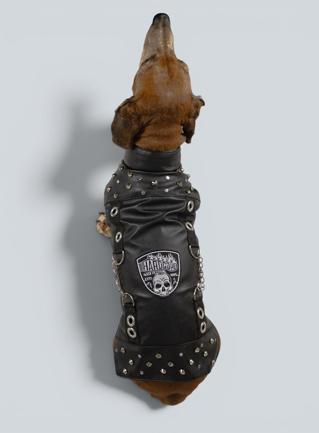 ROCKDOG DETROIT