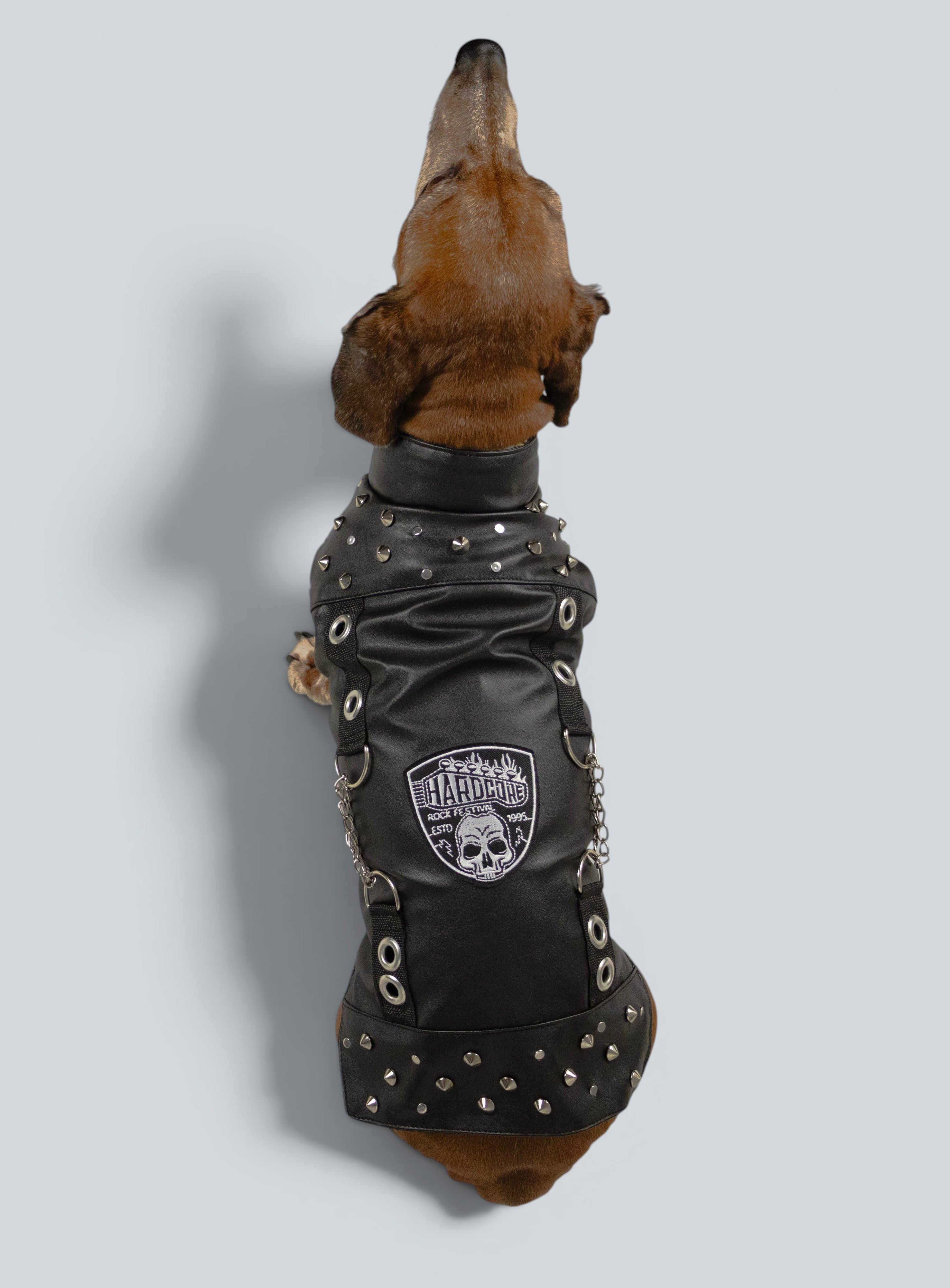 ROCKDOG DETROIT