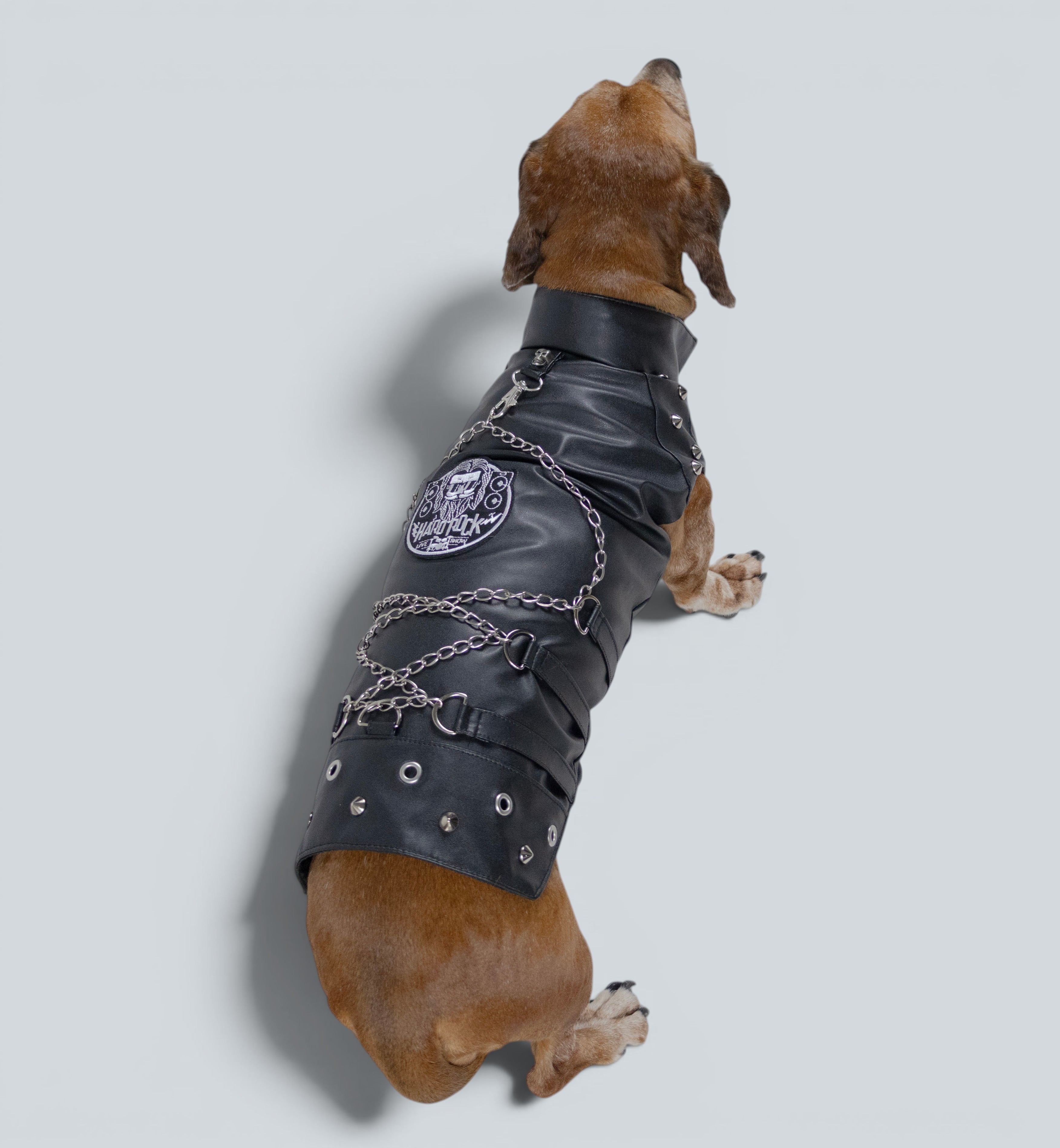 ROCKDOG BROOKLYN