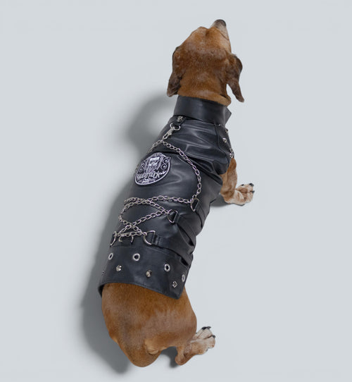ROCKDOG BROOKLYN