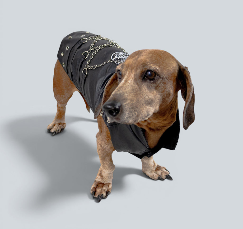 ROCKDOG BROOKLYN