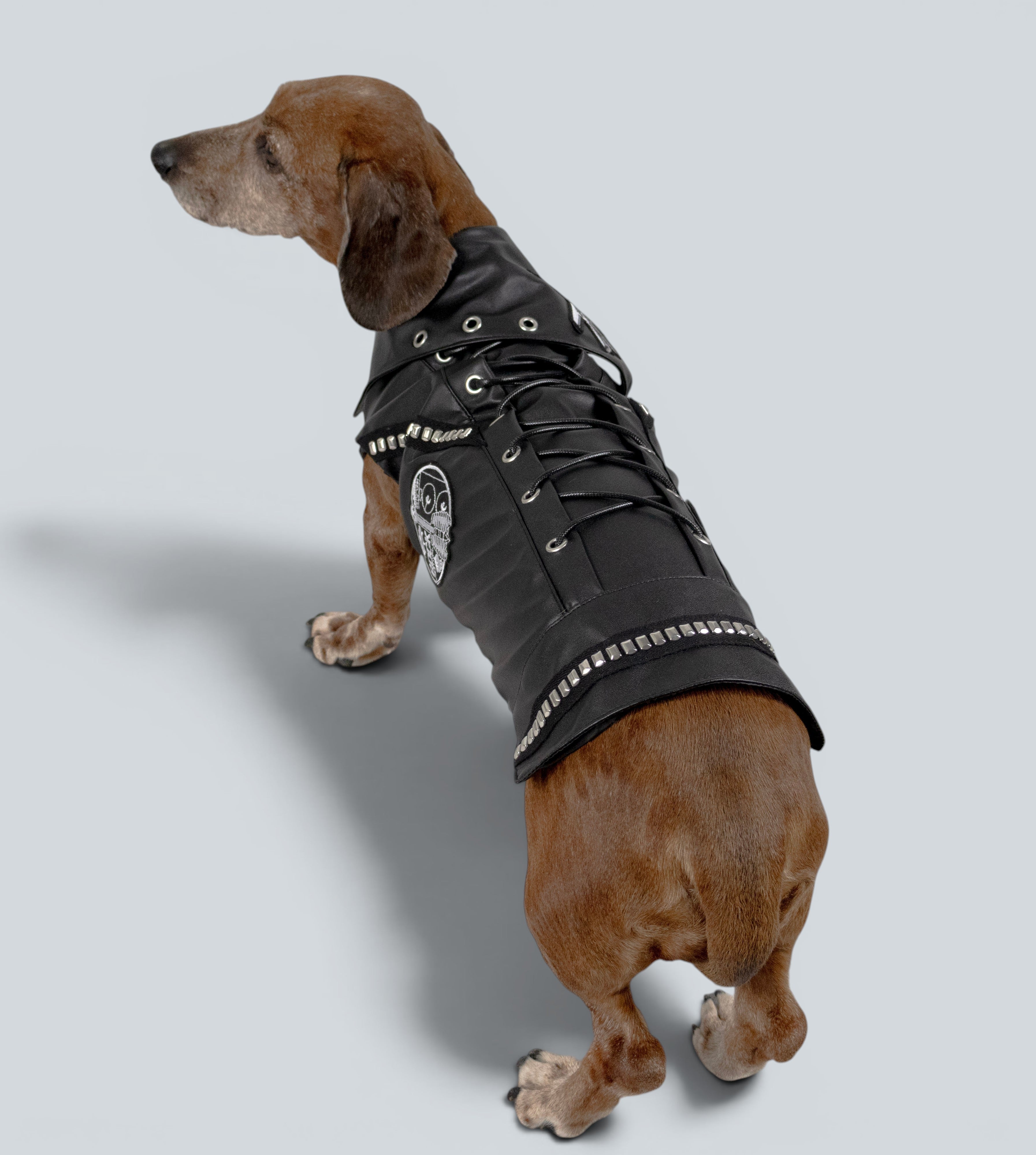 ROCKDOG SOHO