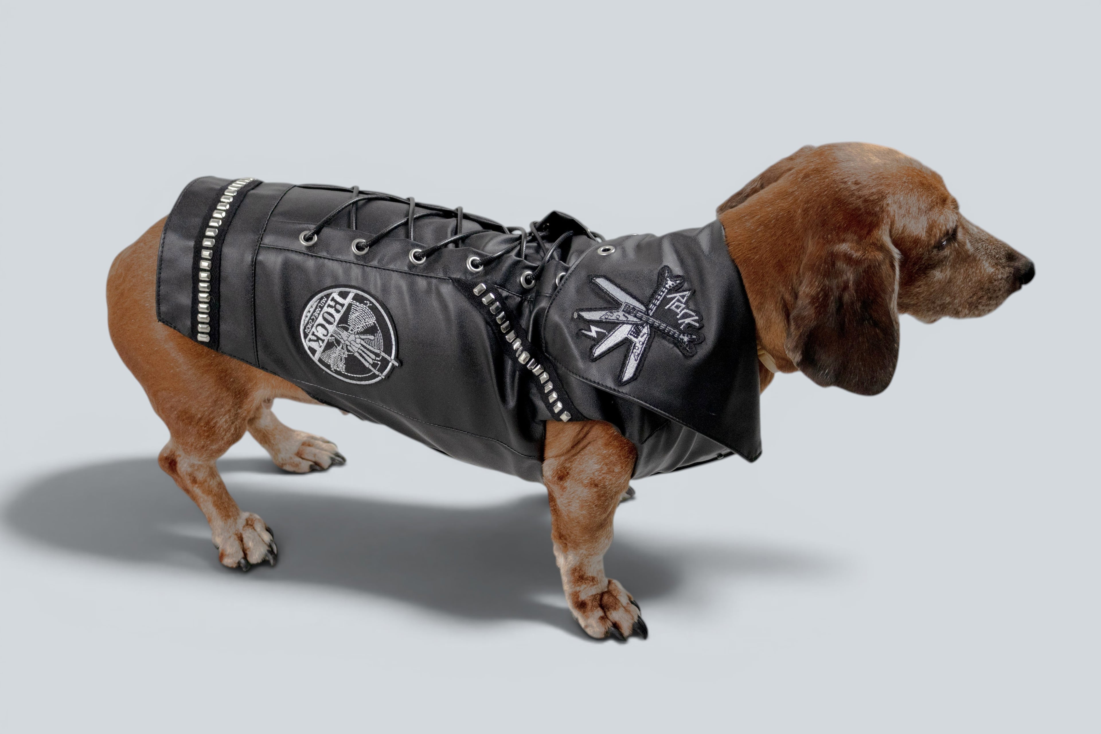 ROCKDOG SOHO