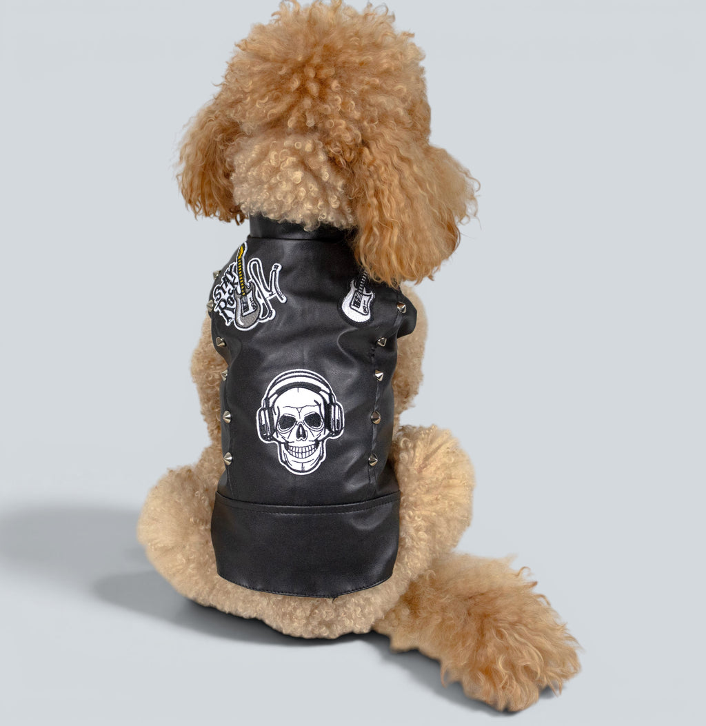 ROCKDOG CHELSEA