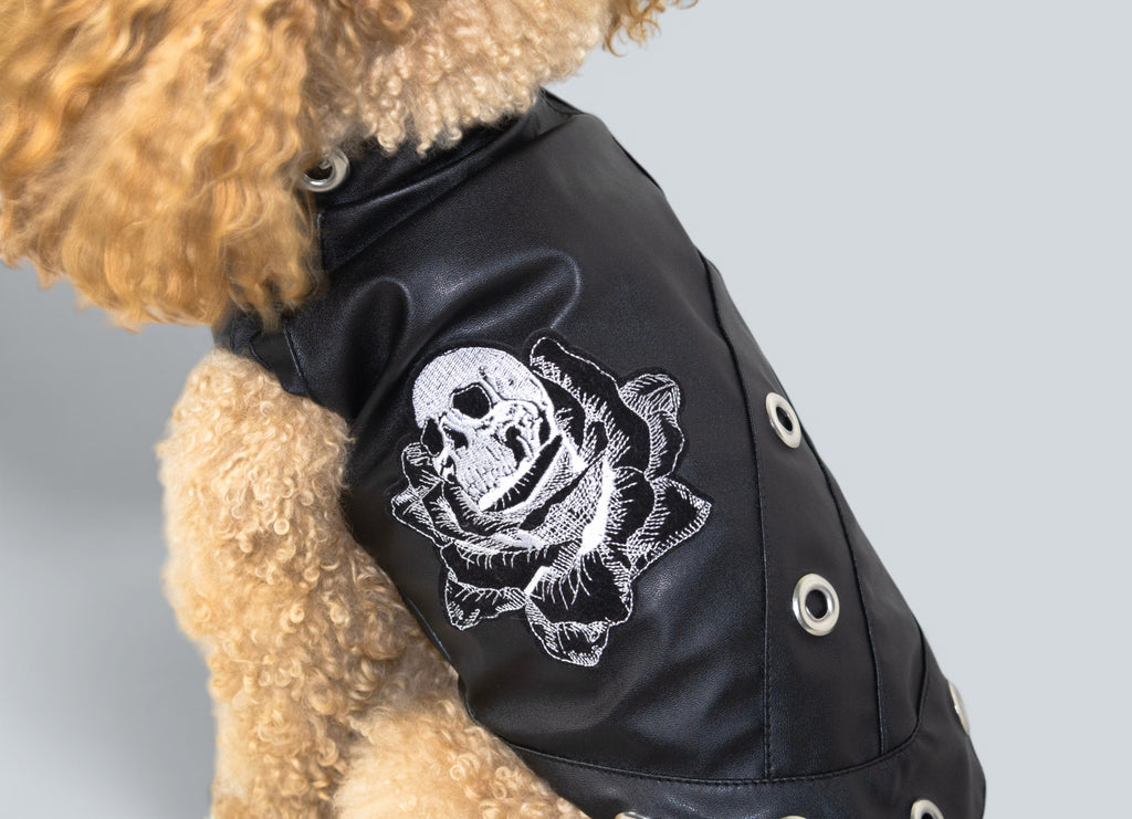 ROCKDOG RAVENNA