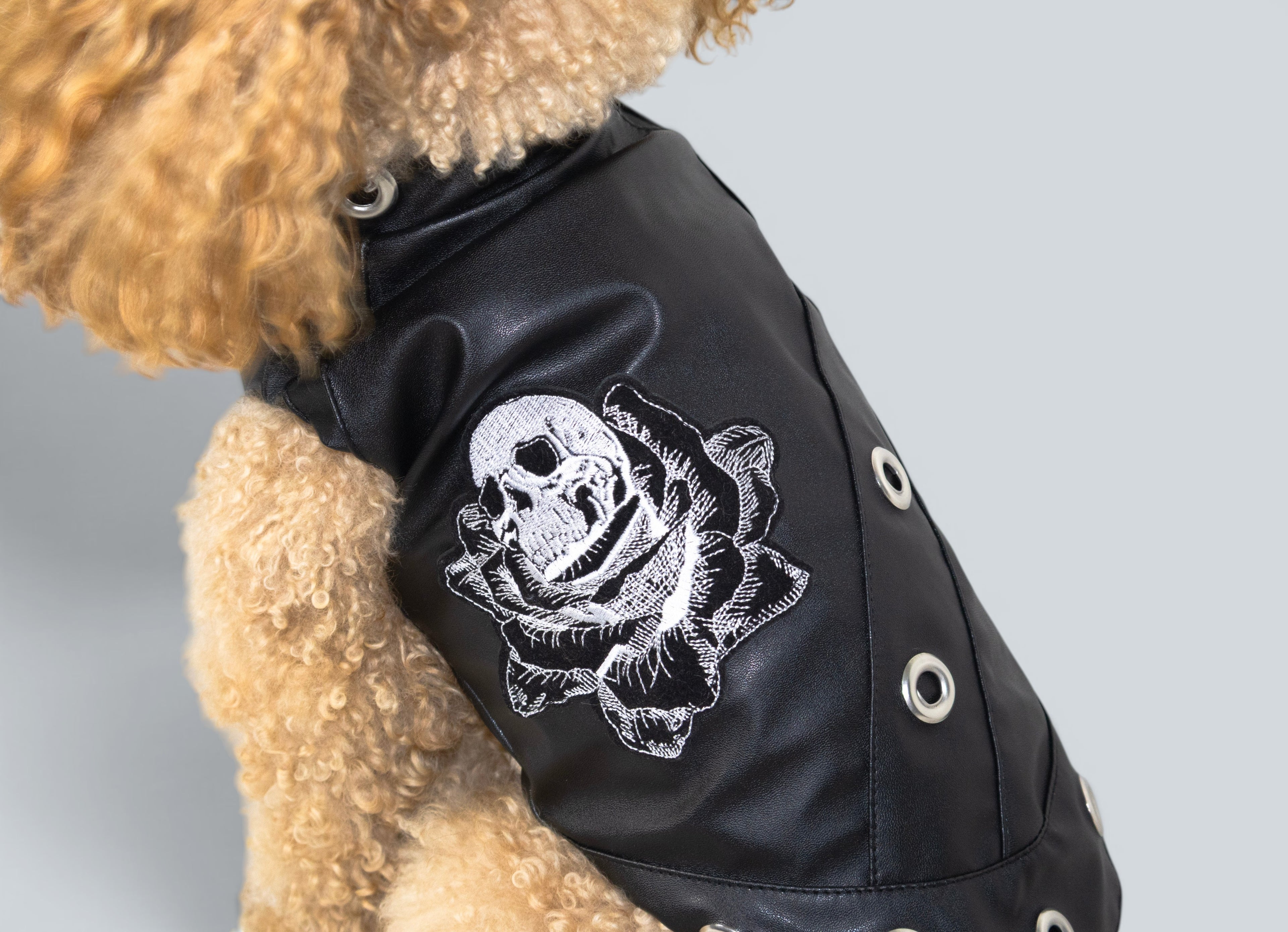 ROCKDOG RAVENNA