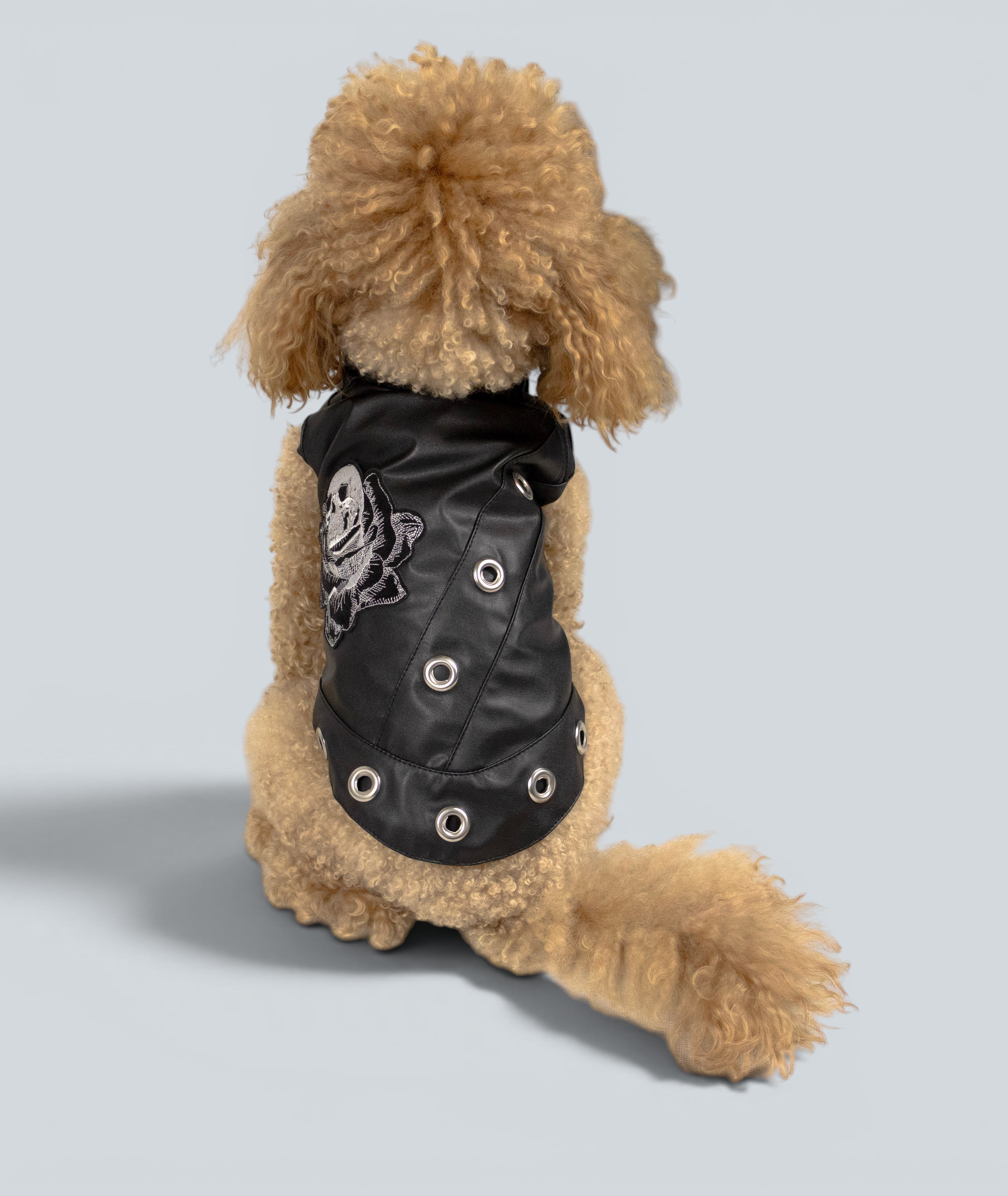 ROCKDOG RAVENNA