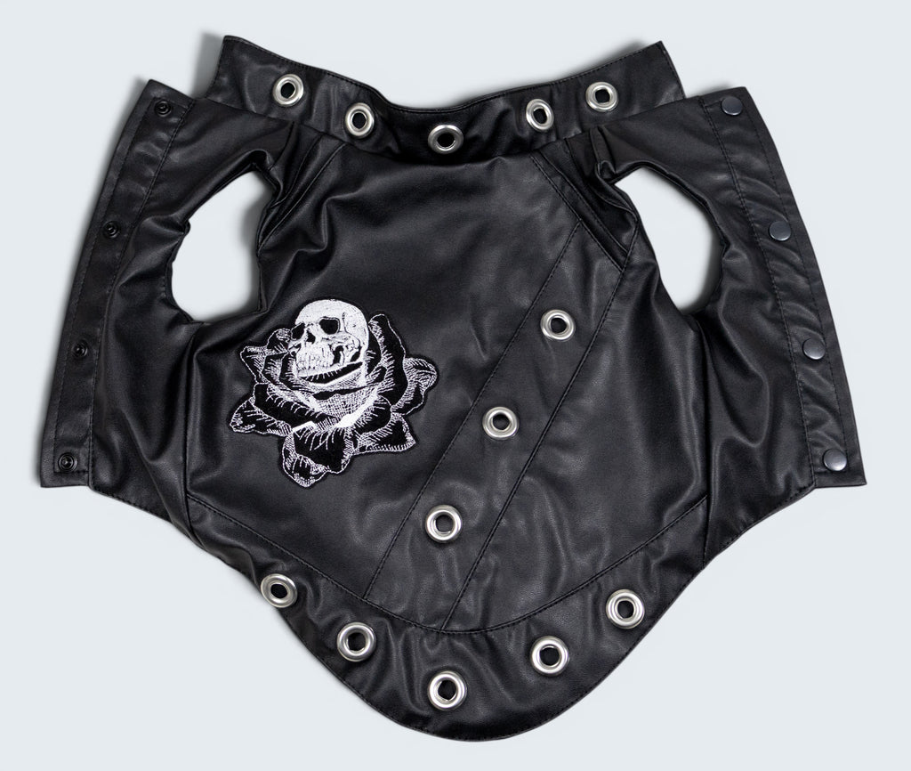 ROCKDOG RAVENNA