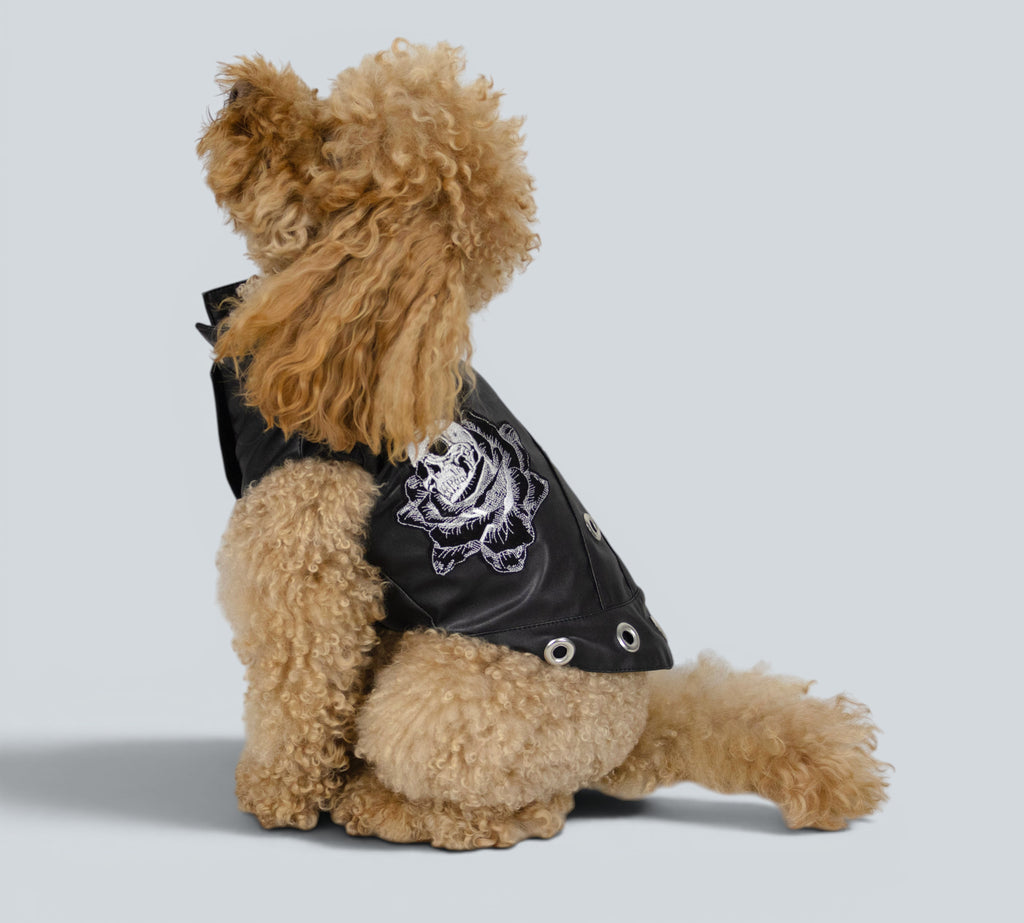 ROCKDOG RAVENNA