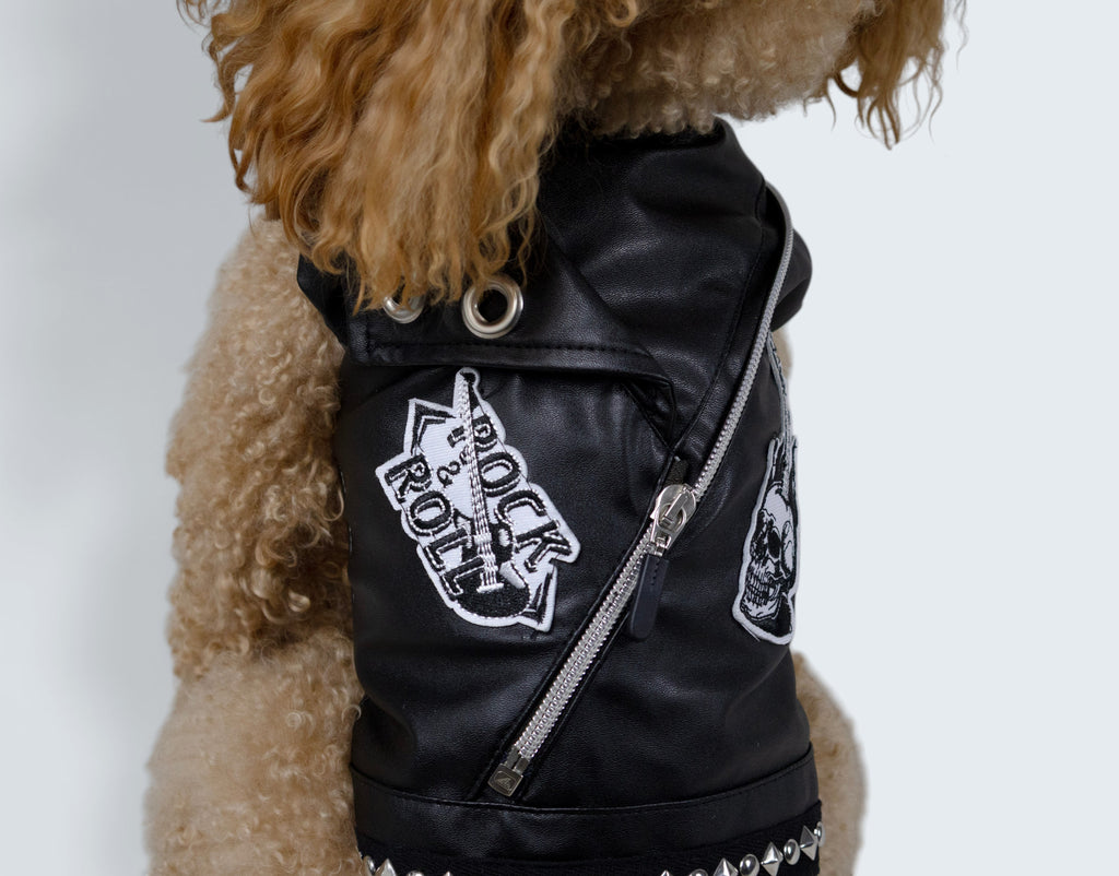 ROCKDOG EASTSIDE
