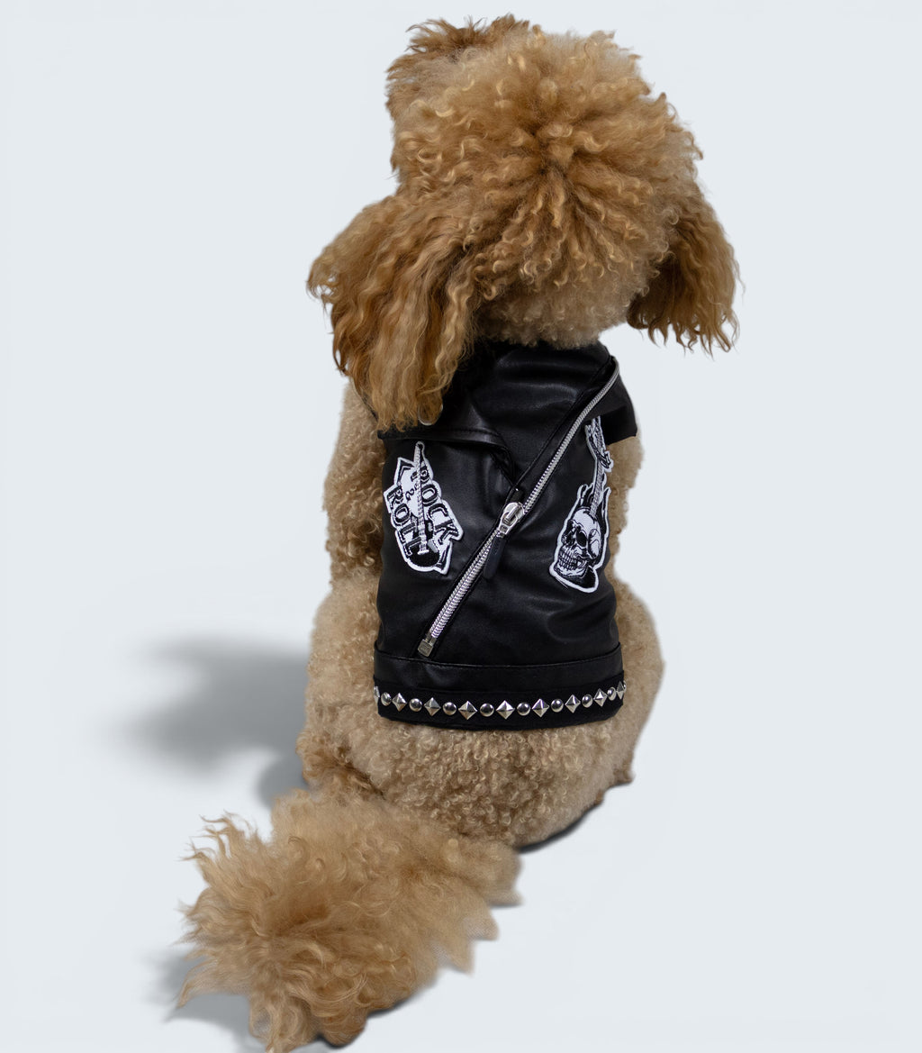 ROCKDOG EASTSIDE