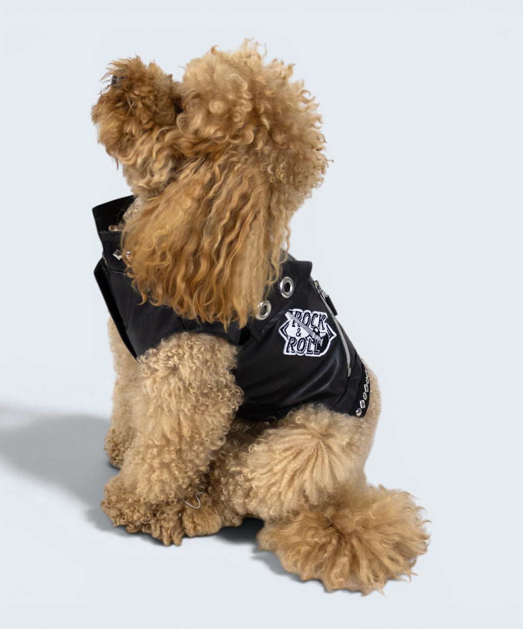 ROCKDOG EASTSIDE
